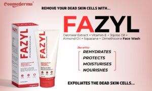 FAZYL 01