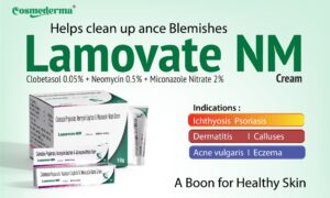 Lamovate S 02